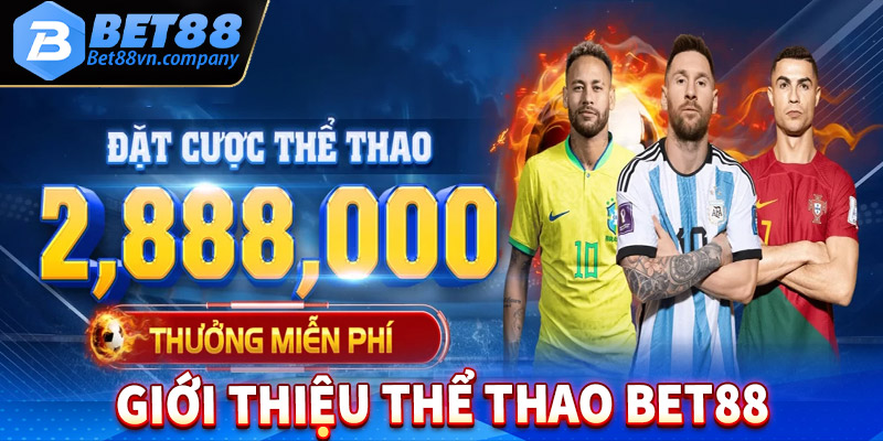 Tổng quan chung về sân chơi thể thao bet88 